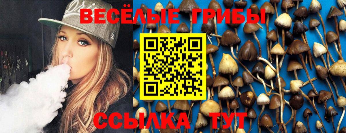 Псилоцибиновые грибы прущие грибы Мирный