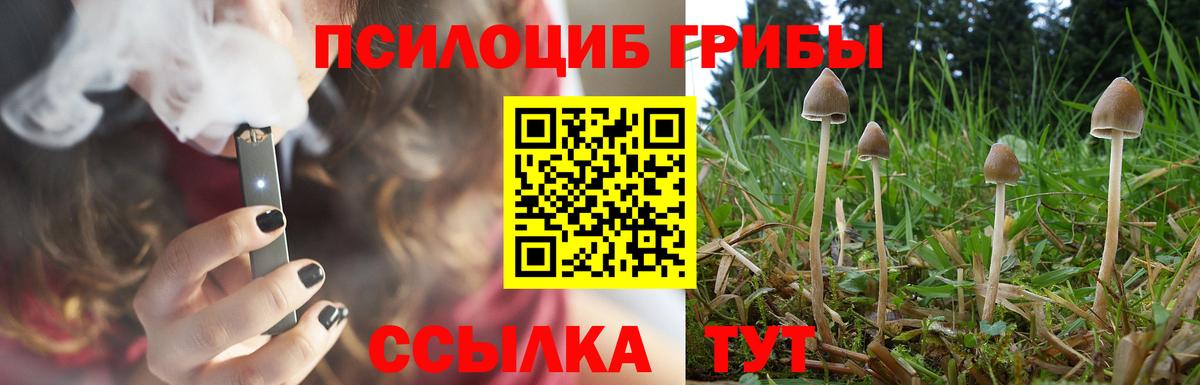 Мирный  Псилоцибиновые грибы Psilocybine cubensis  Вход с VPN 